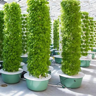 Hydroponic Tower - Sistemi di Coltivazione Aeroponica a Torre
