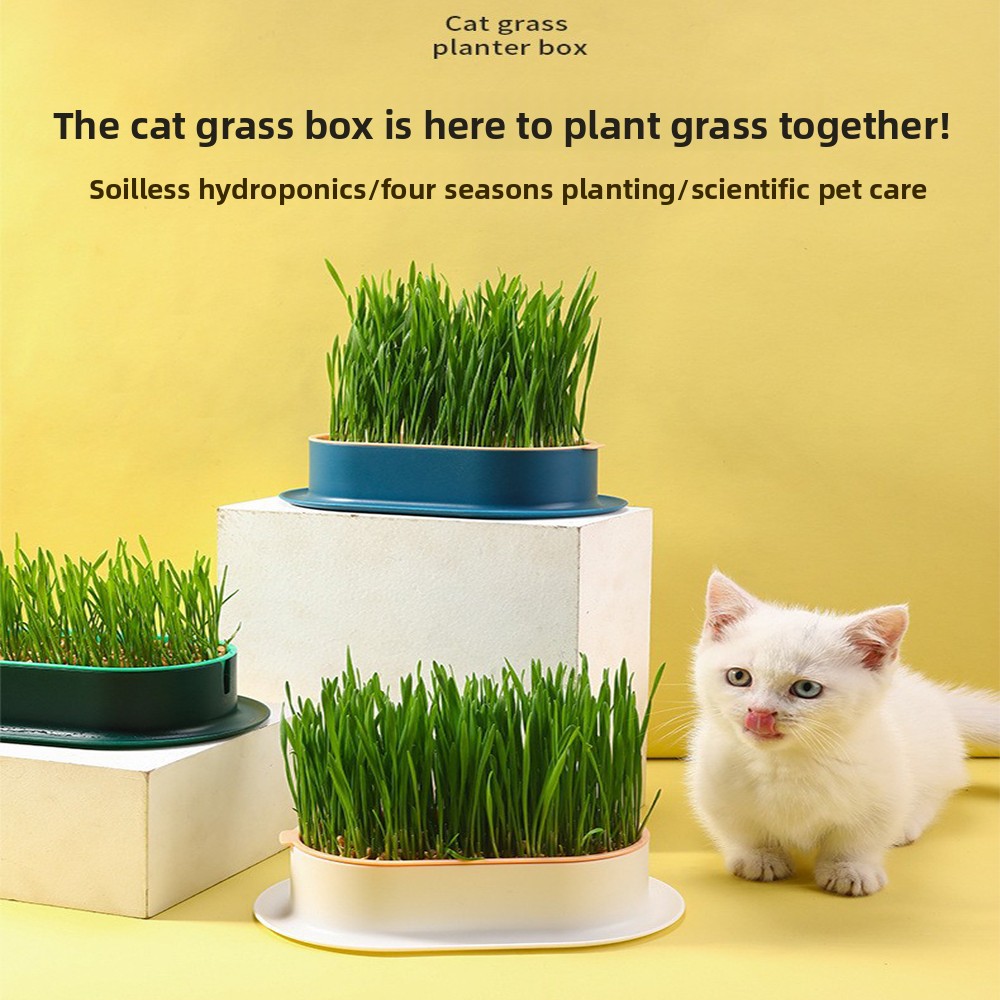 Hydroponic Grow Pod - Forniture per animali domestici Snack per
