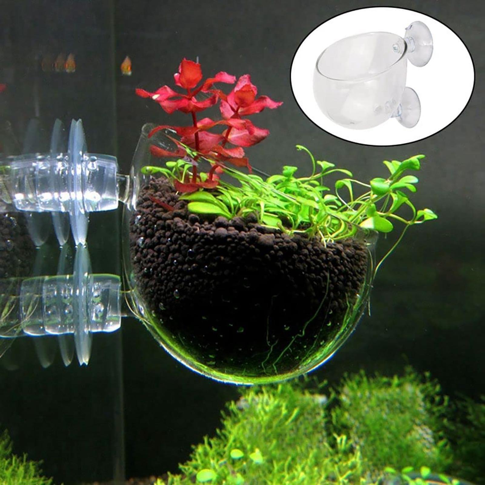 Hydroponic Grow Pod - Vaso per piante acquatiche Fioriera per