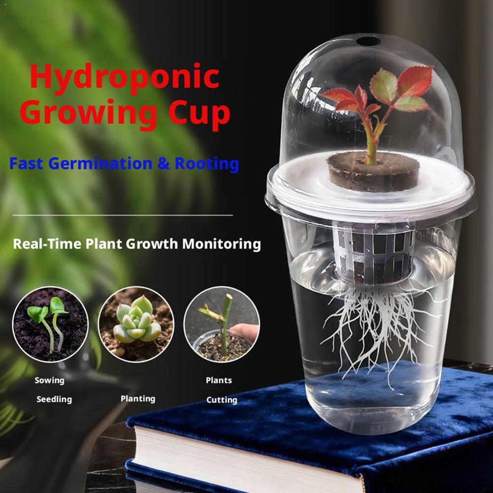 Vaso idroponico trasparente in - Hydroponic Tower recensione e prezzo