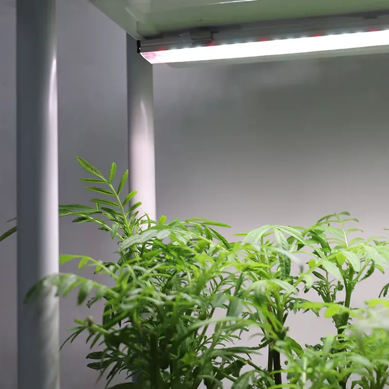 Sistema di Coltivazione Vertic - Self Watering Planter recensione e prezzo