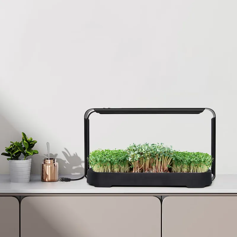 Sistema di coltivazione idropo - Self Watering Planter recensione e prezzo