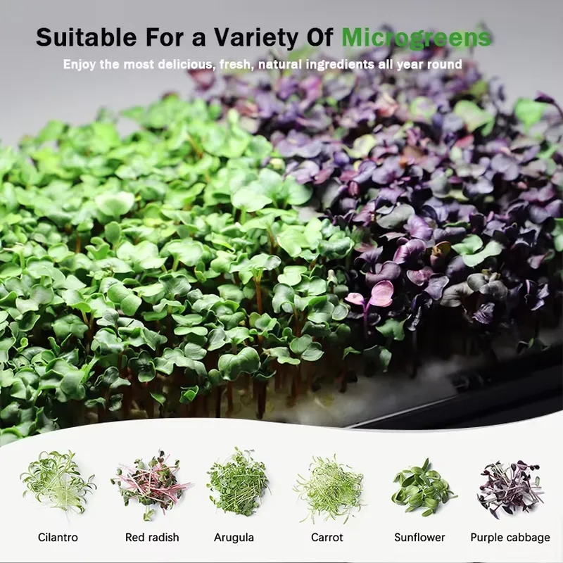 Sistema di coltivazione idropo - Self Watering Planter recensione e prezzo