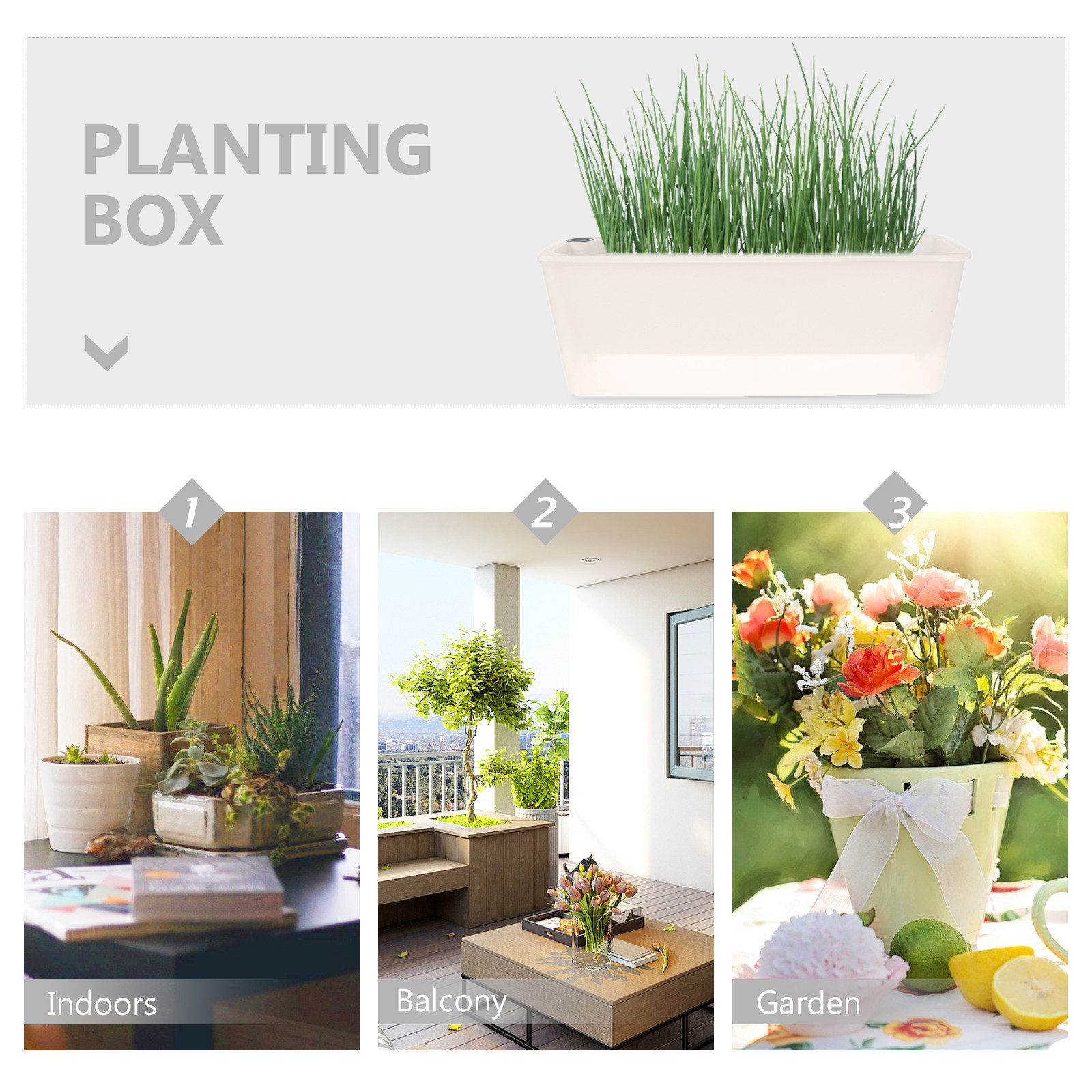 Fioriera Rettangolare Lunga in - Self Watering Planter recensione e prezzo
