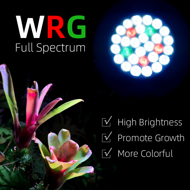 Y30SE Lampadina per coltivazio - Grow Light Led recensione e prezzo