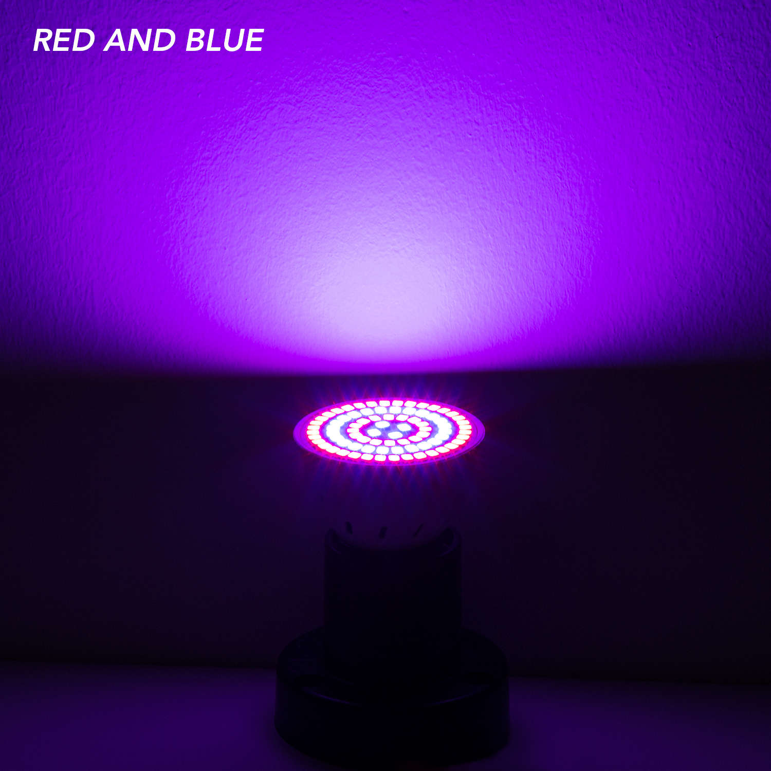 E27 LED fito lampada spettro c - Plant Grow Light Full Spectrum recensione e prezzo