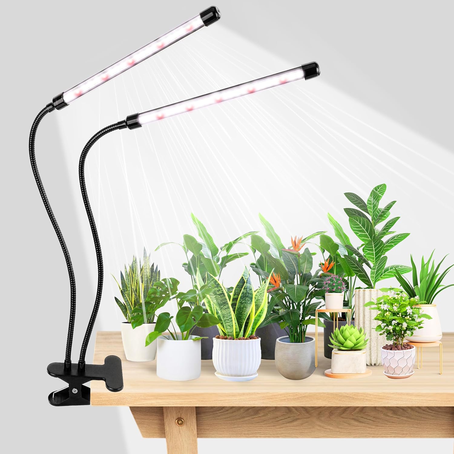 KEBINCPLED Luce LED per la Cre - Hydroponic Grow Pod recensione e prezzo