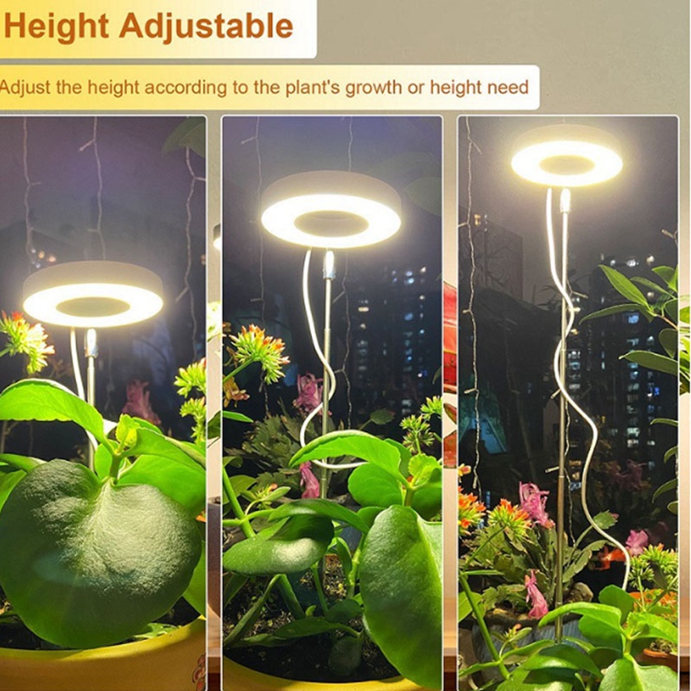 Lampada per coltivazione idrop - Grow Light Led recensione e prezzo