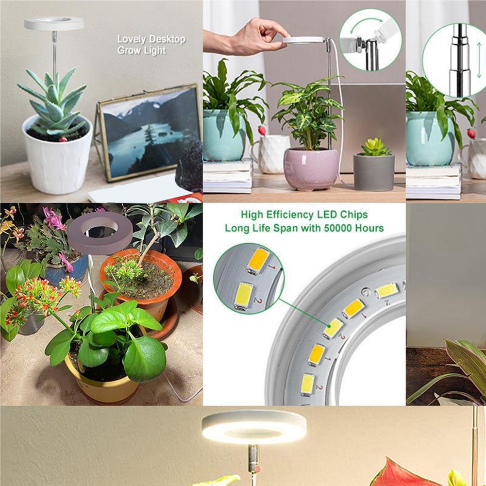 Lampada per coltivazione idrop - Grow Light Led recensione e prezzo