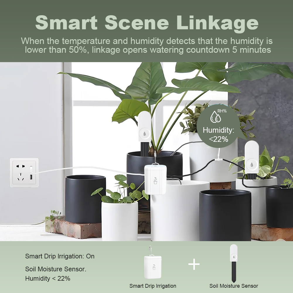 5 pezzi Tester di Umidità del  - Plant Monitor recensione e prezzo