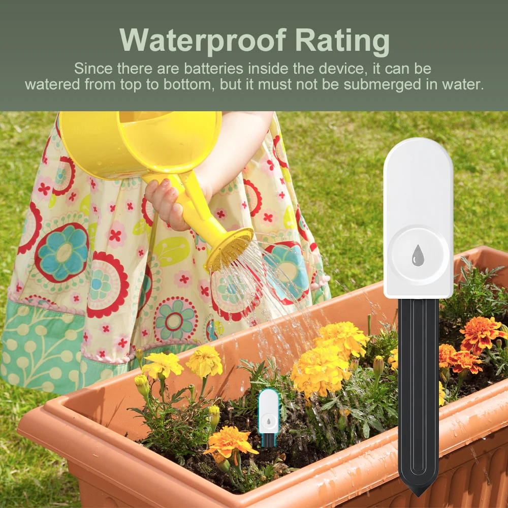 5 pezzi Tester di Umidità del  - Plant Monitor recensione e prezzo