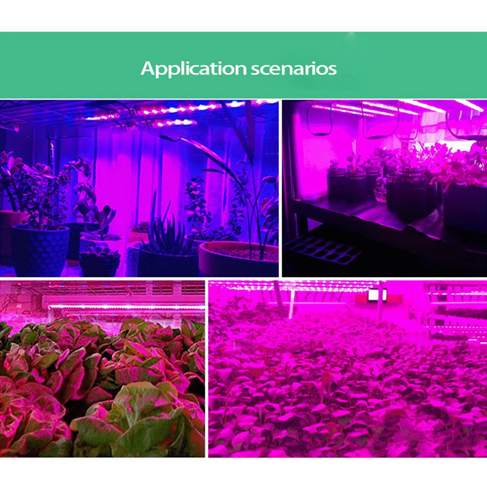 ABUH-5V Lampada per la crescit - Plant Grow Light Full Spectrum recensione e prezzo