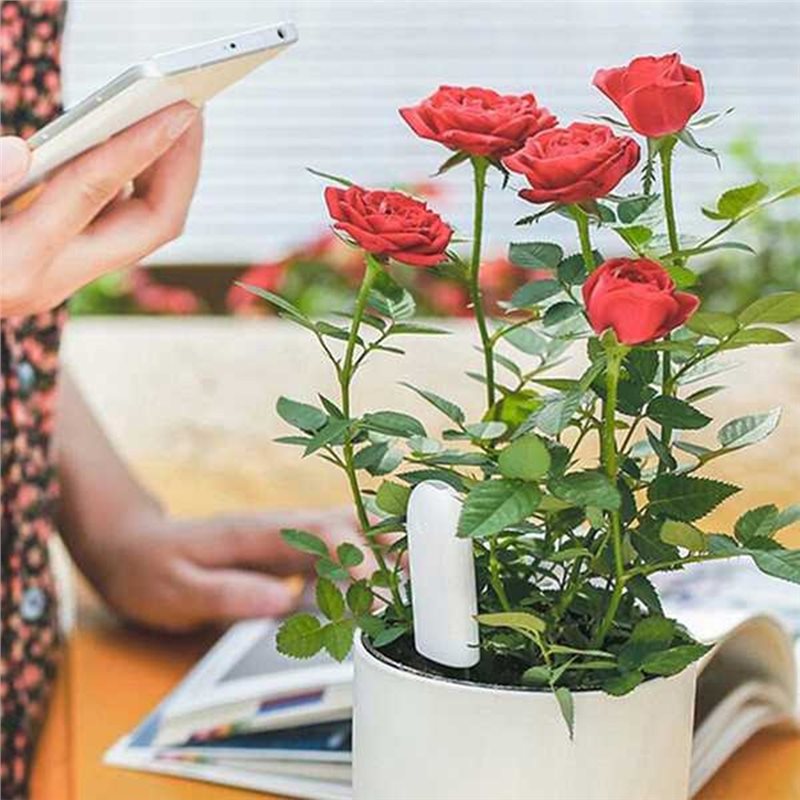 ABVG-Flora Monitor Intelligent - Plant Sensor recensione e prezzo