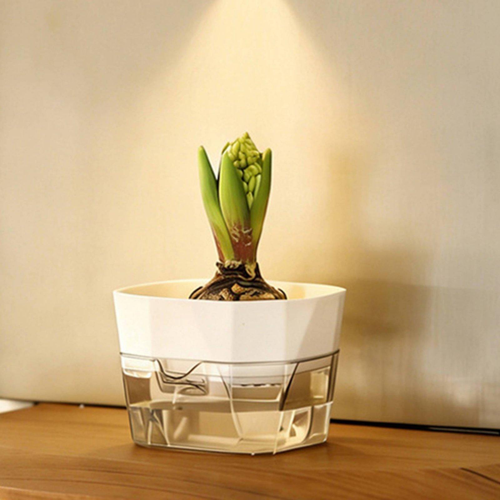 Vaso Idroponico a Due Strati c - Self Watering Planter recensione e prezzo
