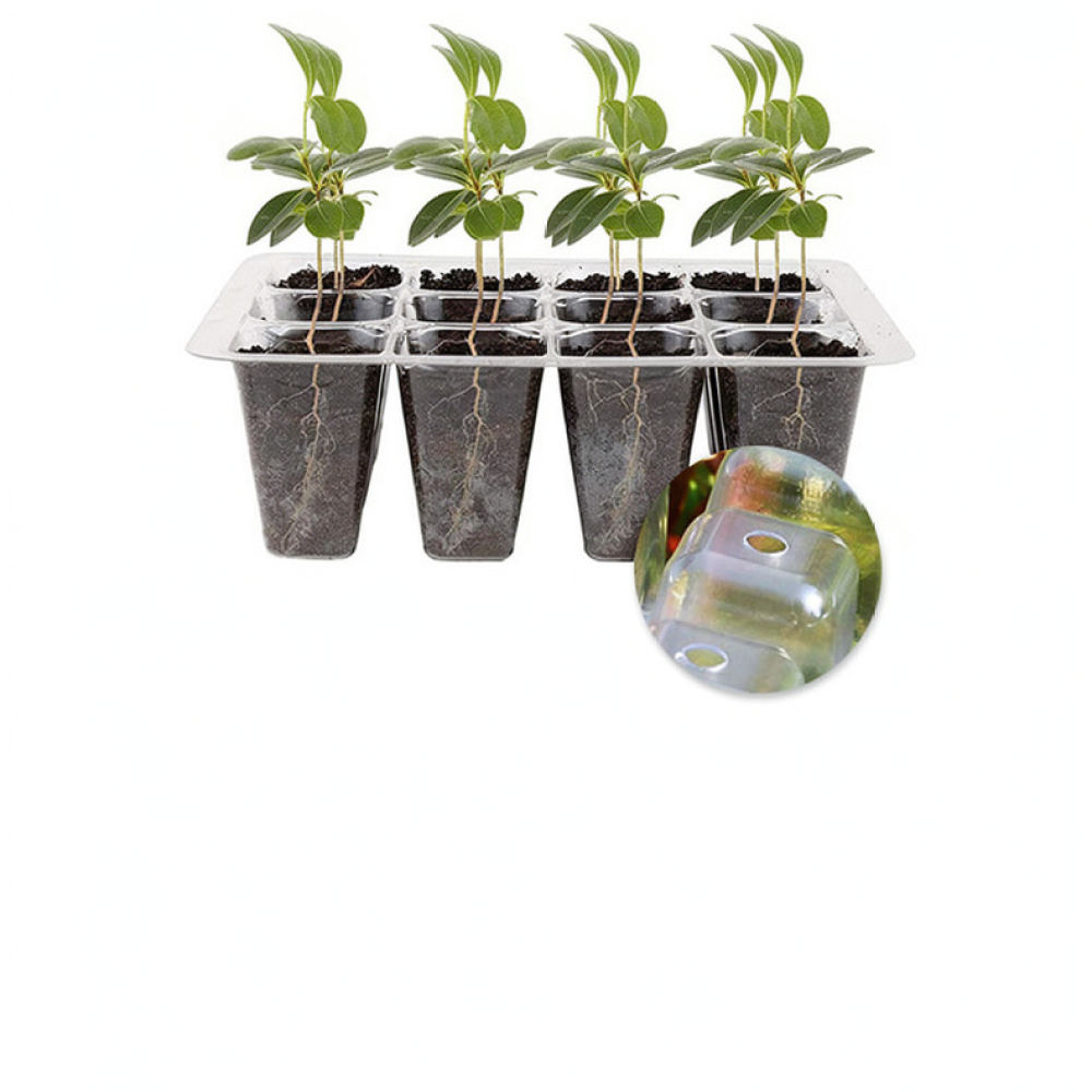 Kit di inizio per la coltivazi - Indoor Garden Kit recensione e prezzo