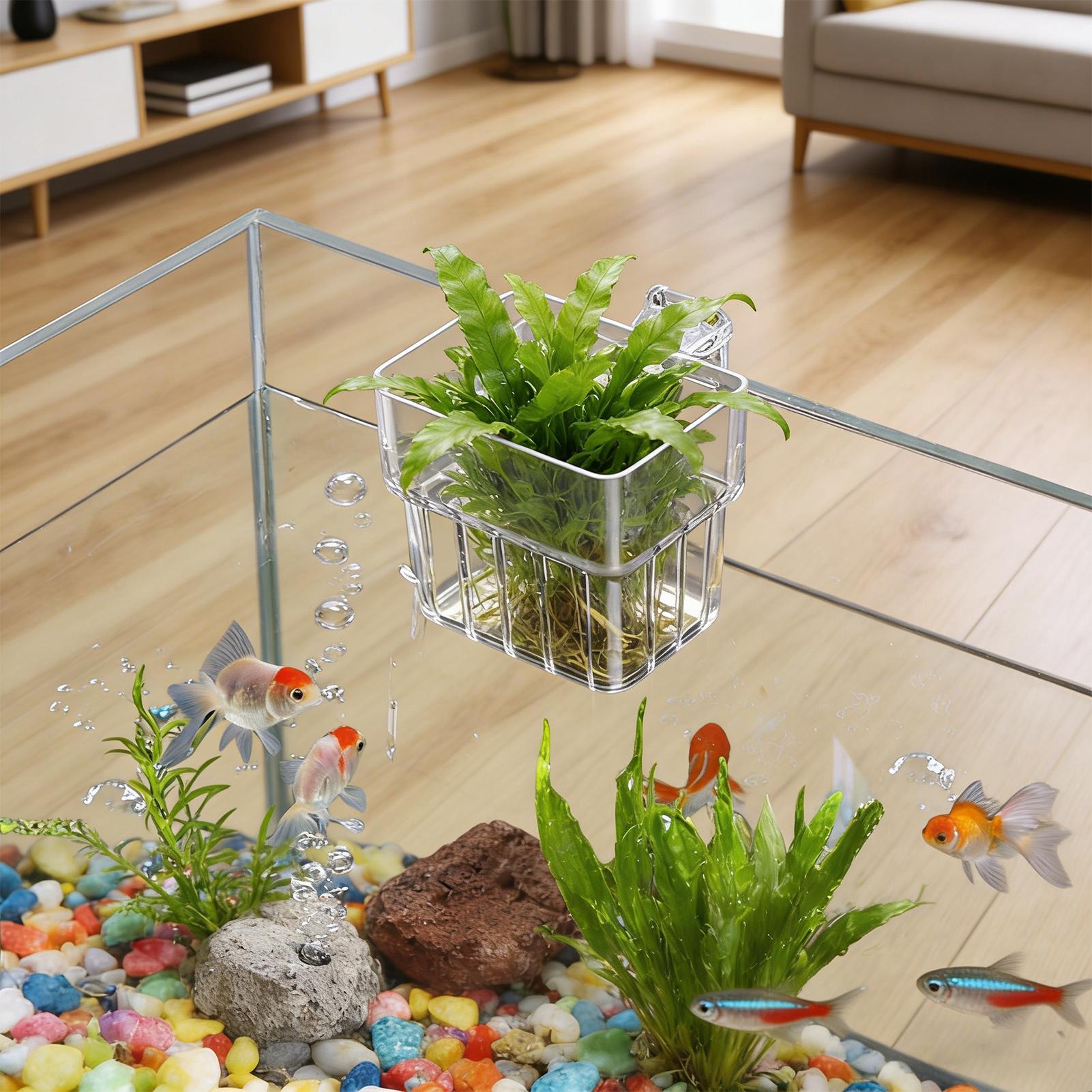 Vaso Trasparente Appendibile p - Hydroponic Grow Pod recensione e prezzo