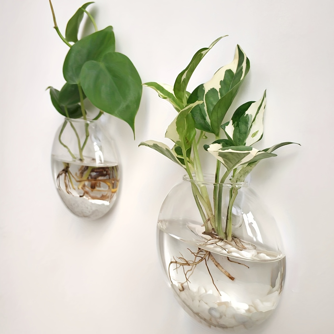 2 pezzi/4 pezzi/6 pezzi vaso d - Hydroponic Grow Pod recensione e prezzo