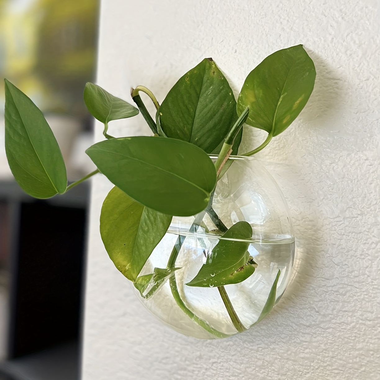 2 pezzi/4 pezzi/6 pezzi vaso d - Hydroponic Grow Pod recensione e prezzo
