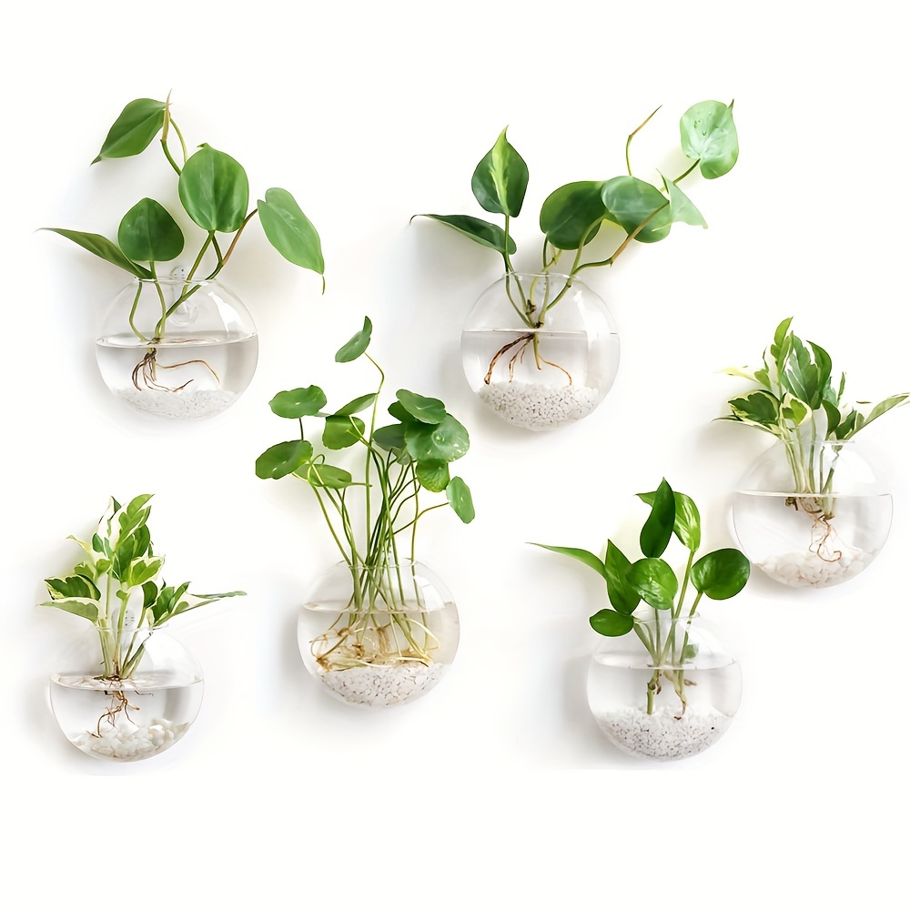 2 pezzi/4 pezzi/6 pezzi vaso d - Hydroponic Grow Pod recensione e prezzo