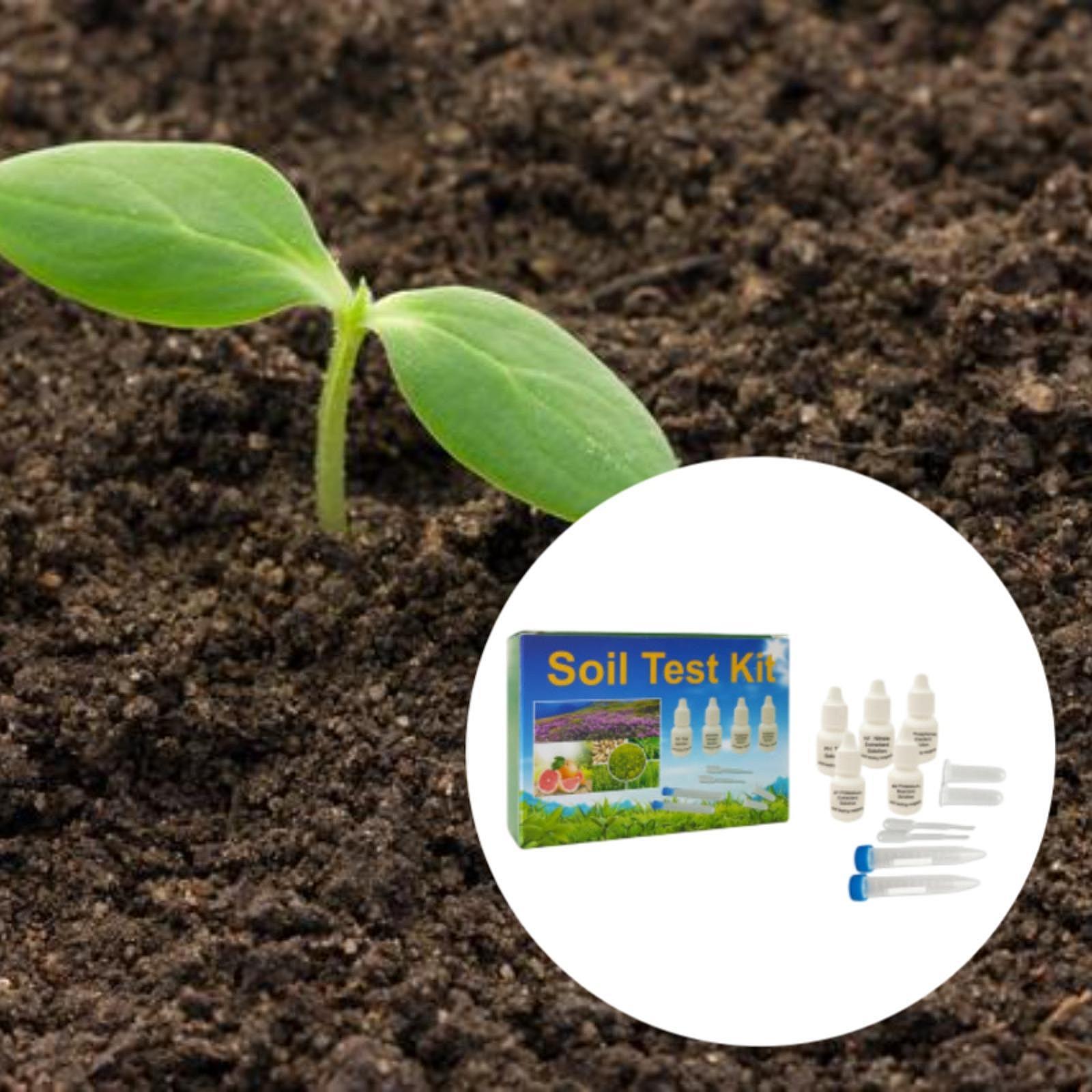 Kit per l'analisi del terreno, - Indoor Garden Kit recensione e prezzo