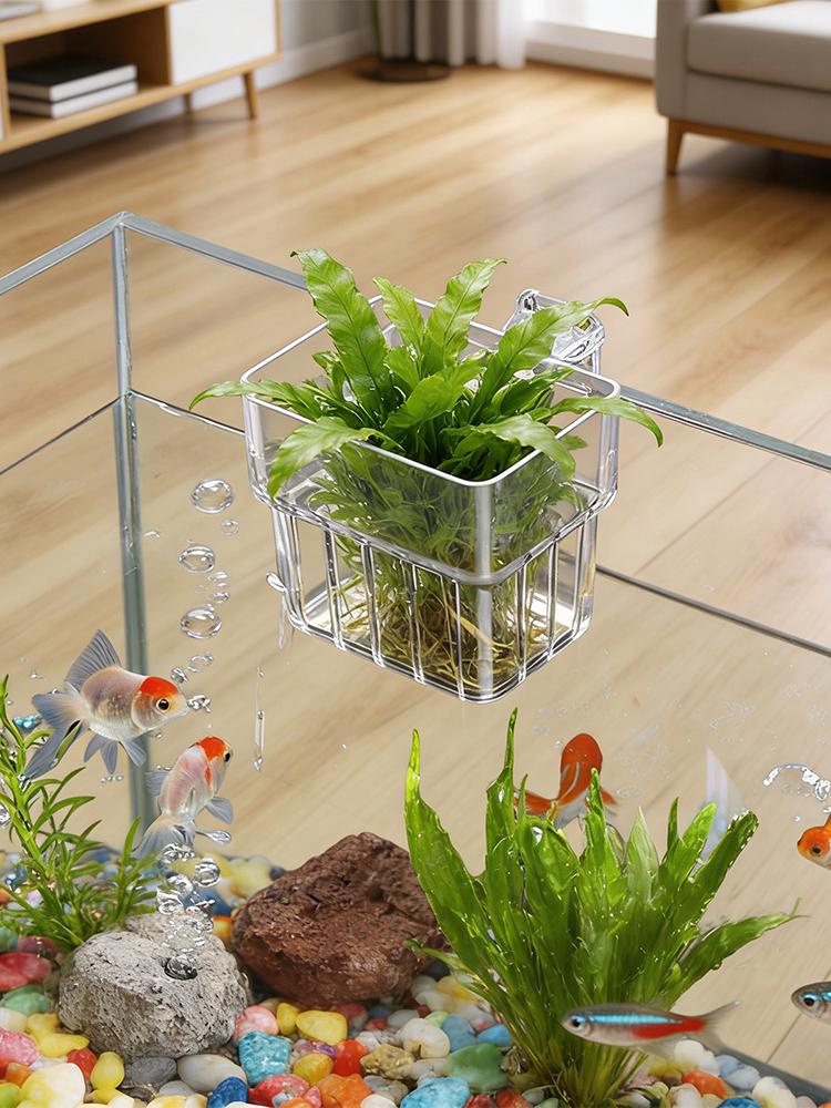 Supporto per piante acquatiche - Hydroponic Grow Pod recensione e prezzo