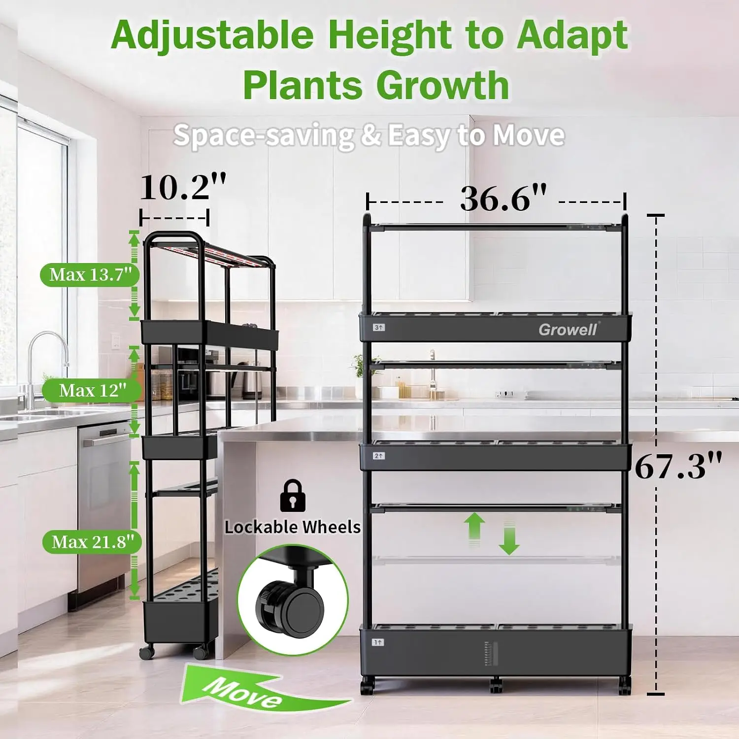 Grande Kit per Sistema di Colt - Indoor Garden Kit recensione e prezzo