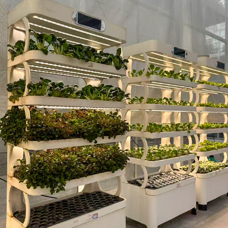 Fioriera intelligente per giar - Smart Garden System recensione e prezzo