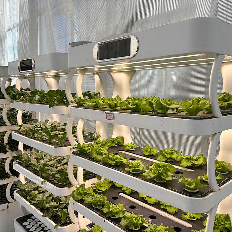 Fioriera intelligente per giar - Smart Garden System recensione e prezzo