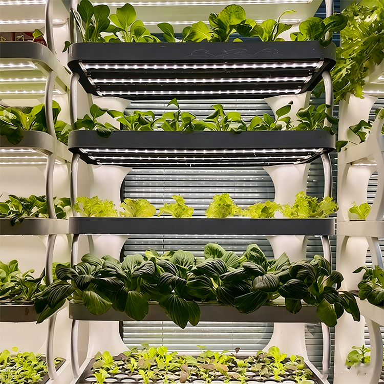 Fioriera intelligente per giar - Smart Garden System recensione e prezzo